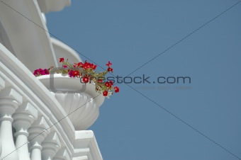Balcony and flowers