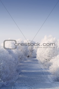 Frozen river with white frost trees