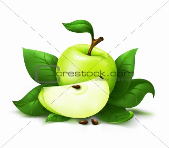 Apple with leafs vector