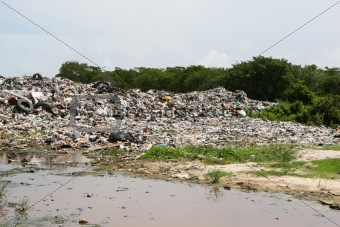 Dumping Waste