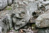 Mayan Head