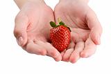 strawberry in hands