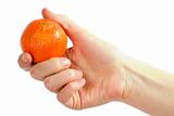 Orange in Hand