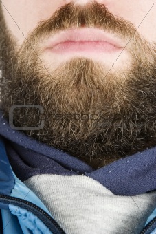Beard Close Up