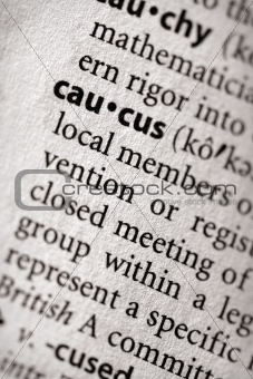 Dictionary Series - Politics: caucus