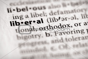 Dictionary Series - Politics: liberal