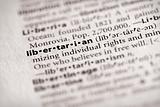 Dictionary Series - Politics: libertarian