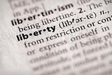 Dictionary Series - Politics: liberty