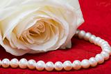 White rose and pearls