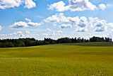 Summer landscape with green grass, forest and clouds 