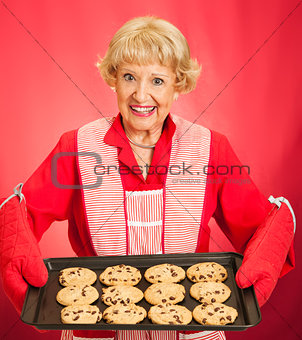 Grandmothers Home-baked Cookies