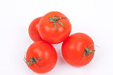 tomatos on a white background