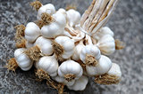 Garlic Braid
