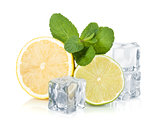 Fresh lime, lemon, mint and ice cubes