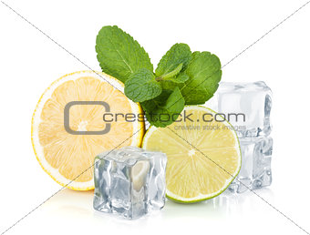 Fresh lime, lemon, mint and ice cubes