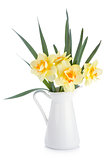 Bouquet of yellow daffodils in jug