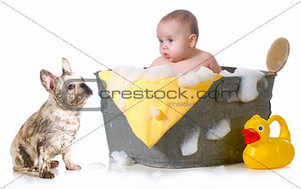baby and puppy getting bath