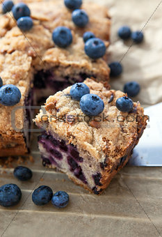 Piece of homemade blueberry cake