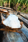 Basket with fresh extracted sea salt in Bali, Indonesia