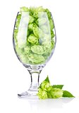 goblet with hop cones and leaves