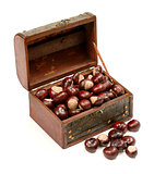 Chest With Chestnut