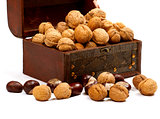 Chest With Walnuts 