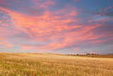Beautiful sunset over field