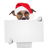 christmas banner placeholder dog