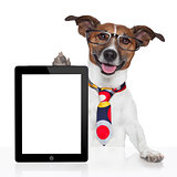 business dog tablet pc ebook