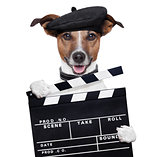movie clapper board director dog