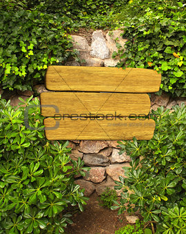 Ivy and wooden sign on ancient wall
