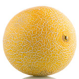 Yellow melon 