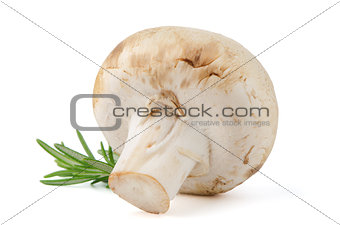 Champignon mushroom and parsley leaves 