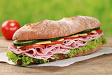 Baguette with ham