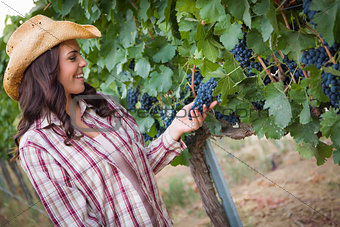 Young Adult Female Farmer Inspecting Grapes in Vineyard