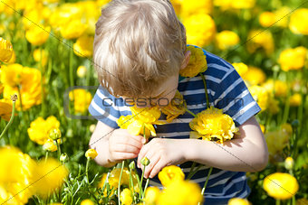 child at the blooming field