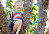 boy climbing the tree