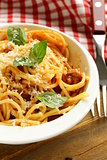 spaghetti pasta with tomato sauce, basil and parmesan cheese