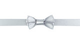 silver ribbon bow border