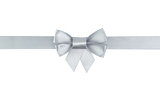 silver ribbon bow with tails border