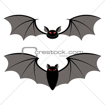 bats different types on a white background