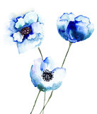 Beautiful Blue flowers
