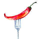 Red hot chili peppers on the fork