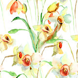Seamless wallpaper with Narcissus flowers