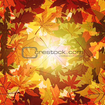 Abstract Autumn Leaf Background