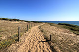 Path to the beach