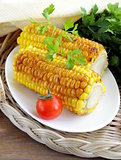 yellow grilled corn , tasty side dish