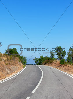 Tree-lined tarred road