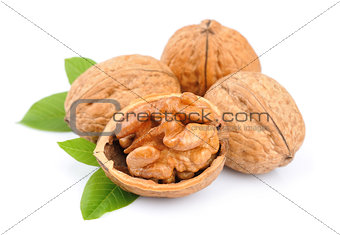 Dried walnut 