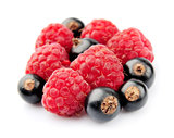 raspberries and black currant